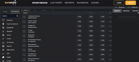 Texas Sports Betting: Legal Sportsbook Updates 2024